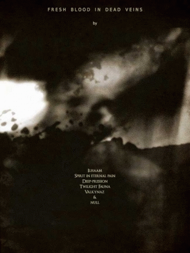 Valkynaz : Fresh Blood in Dead Veins